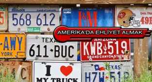 Amerika'da Ehliyet Sınavında Çıkan Sorular