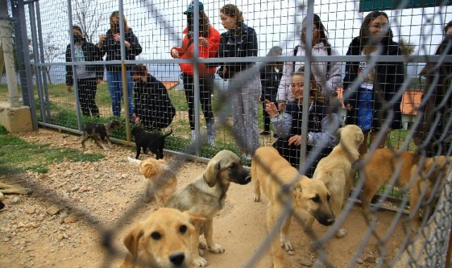 Muğla'da öğrencilerden can dostlarına ziyaret