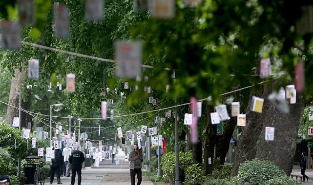 Kocaeli Cumhuriyet Bulvarı'nda ağaçlar kitap açacak