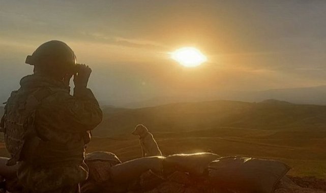 Bakan Soylu: Gri kategorideki bir terörist daha teslim oldu