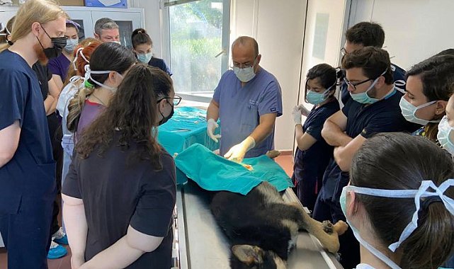 Bursa'da geleceğin veterinerlerine Osmangazi'de uygulamalı eğitim