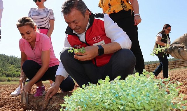 İzmir'de tıbbi ve aromatik bitkiler yaygınlaşıyor