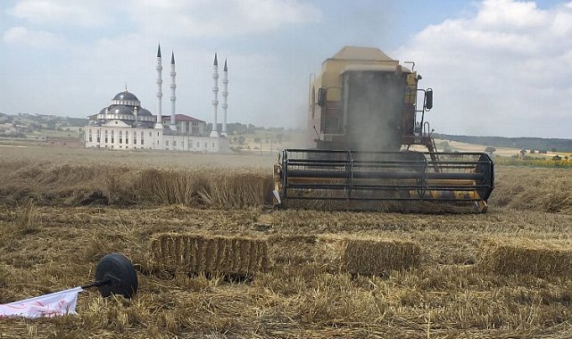 Bursa Nilüfer'de buğday tarla günü düzenlendi