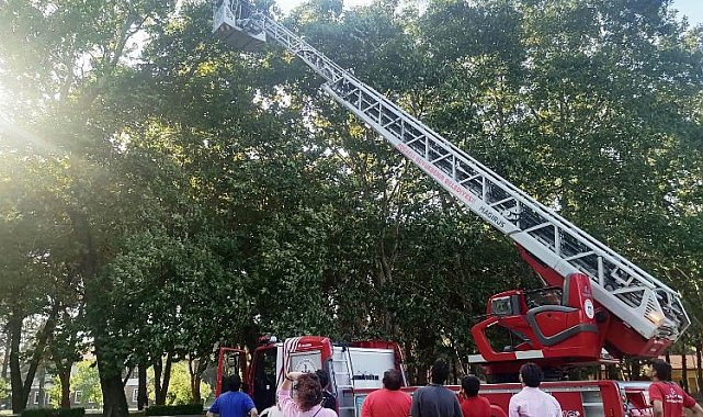 Kocaeli'de ağaçta kalan İHA'yı itfaiye kurtardı