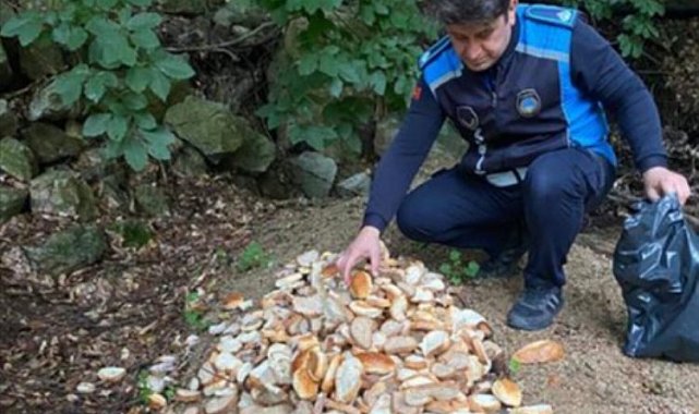 Bursa İnegöl'de Oylat AŞ'den yaban hayatına destek