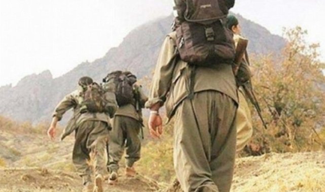 İçişleri: İknayla teslim sayısı 117'ye yükseldi