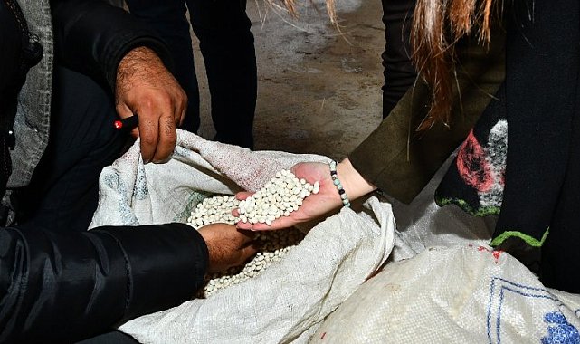 İzmir'de yerli kuru fasulyeyle 1,5 milyon liralık destek