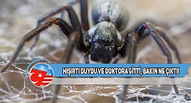 Kansas'ta Uykuda Kulağından İçeri Giren Şey Şaşırttı