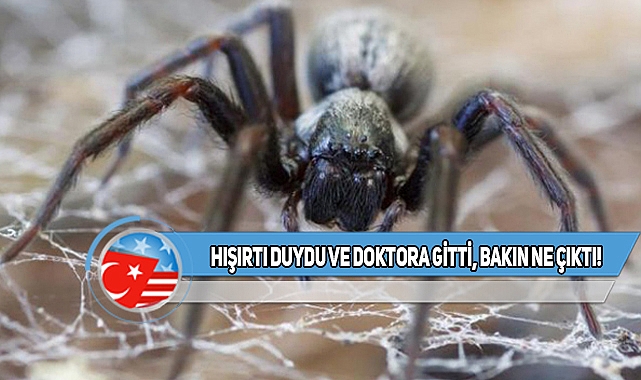 Kansas'ta Uykuda Kulağından İçeri Giren Şey Şaşırttı