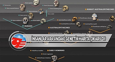 İşte Tüm İnsanlığın Kökeninin Geldiği O Ülke!