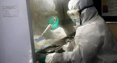 ABD'de İlaca Dirençli "Shigella" Uyarısı