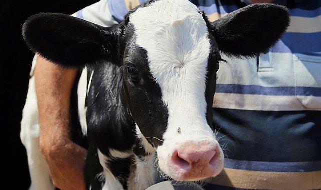 Bursa Yenişehir'de destekleme listeleri askıya çıktı