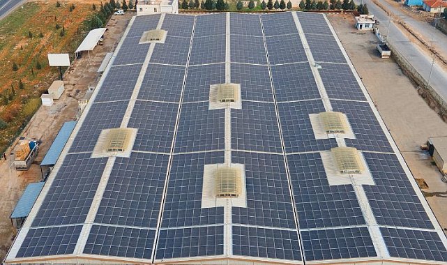 CW Enerji yeni kurduğu panellerle 166 ağacı daha kurtaracak