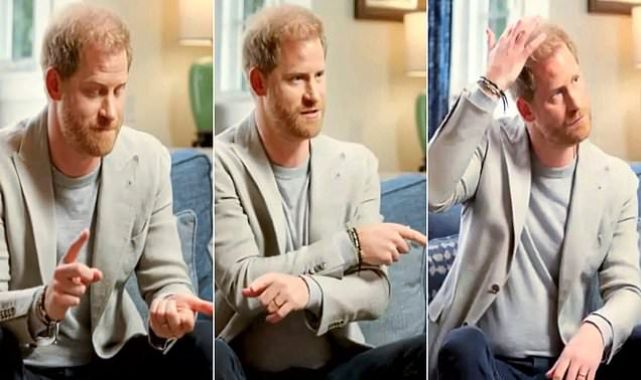 Prince Harry extols use of Class A drug in cosy chat with Gabor Maté