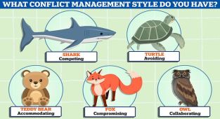 Take MailOnline's quiz to reveal your conflict style