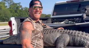 Barefoot Florida man battles 10-foot alligator on side of highway