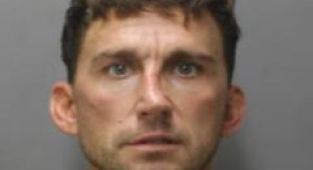 Surveillance shows Tesla driver back at it after early jail release
