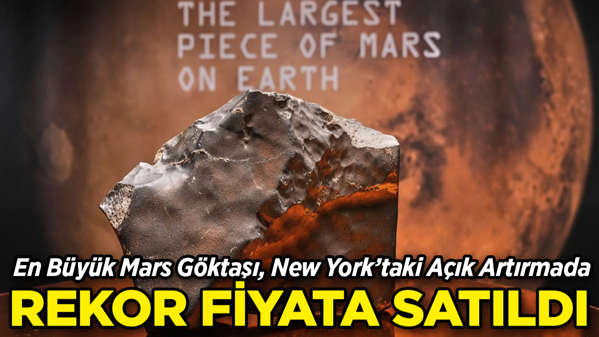 Mars'tan Gelen En Büyük Göktaşı Rekor Fiyata Satıldı!