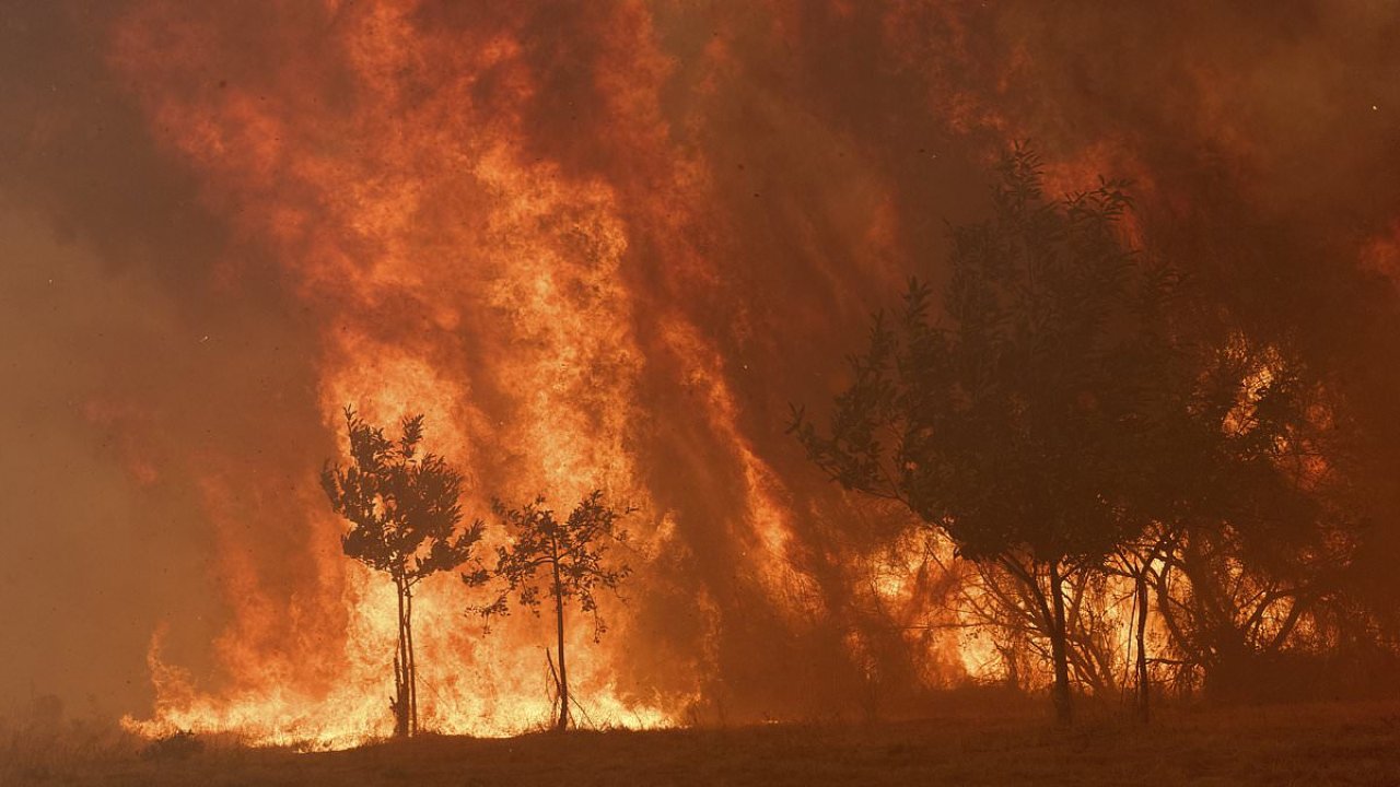 Europe burns as deadly infernos tear through Spain and Portugal