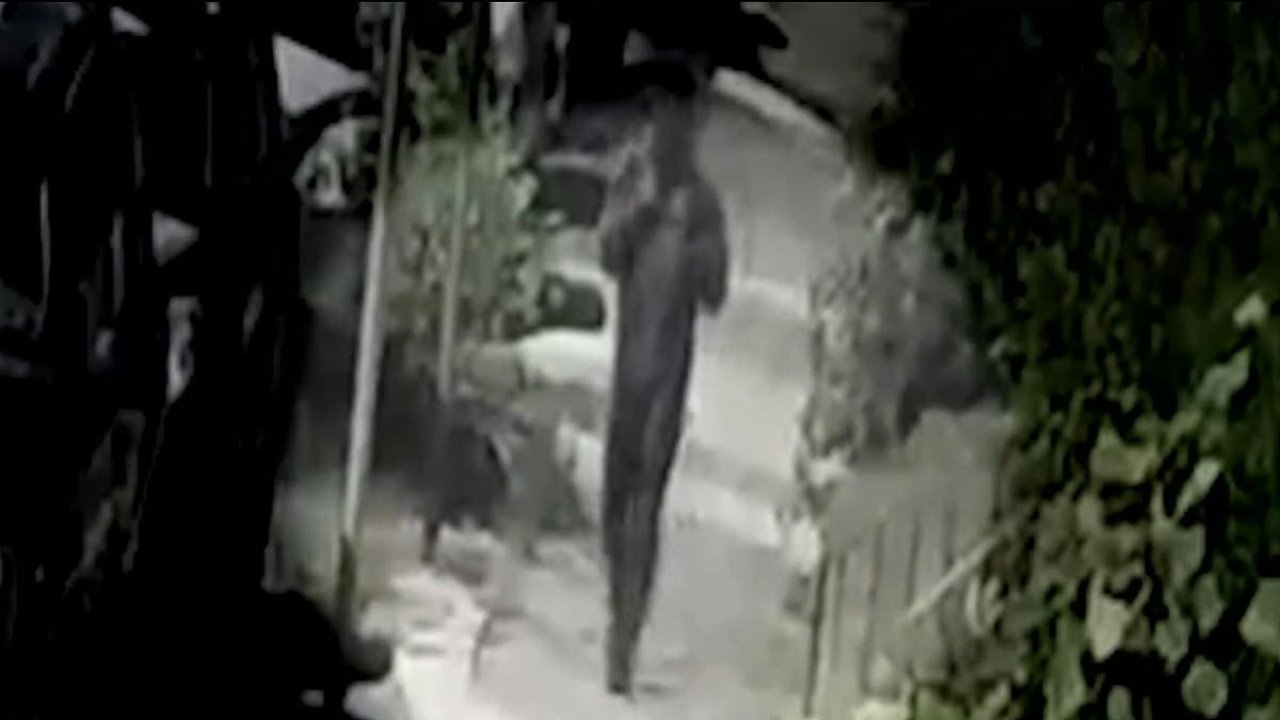 Chilling Purge-style video shows stranger enter family's home