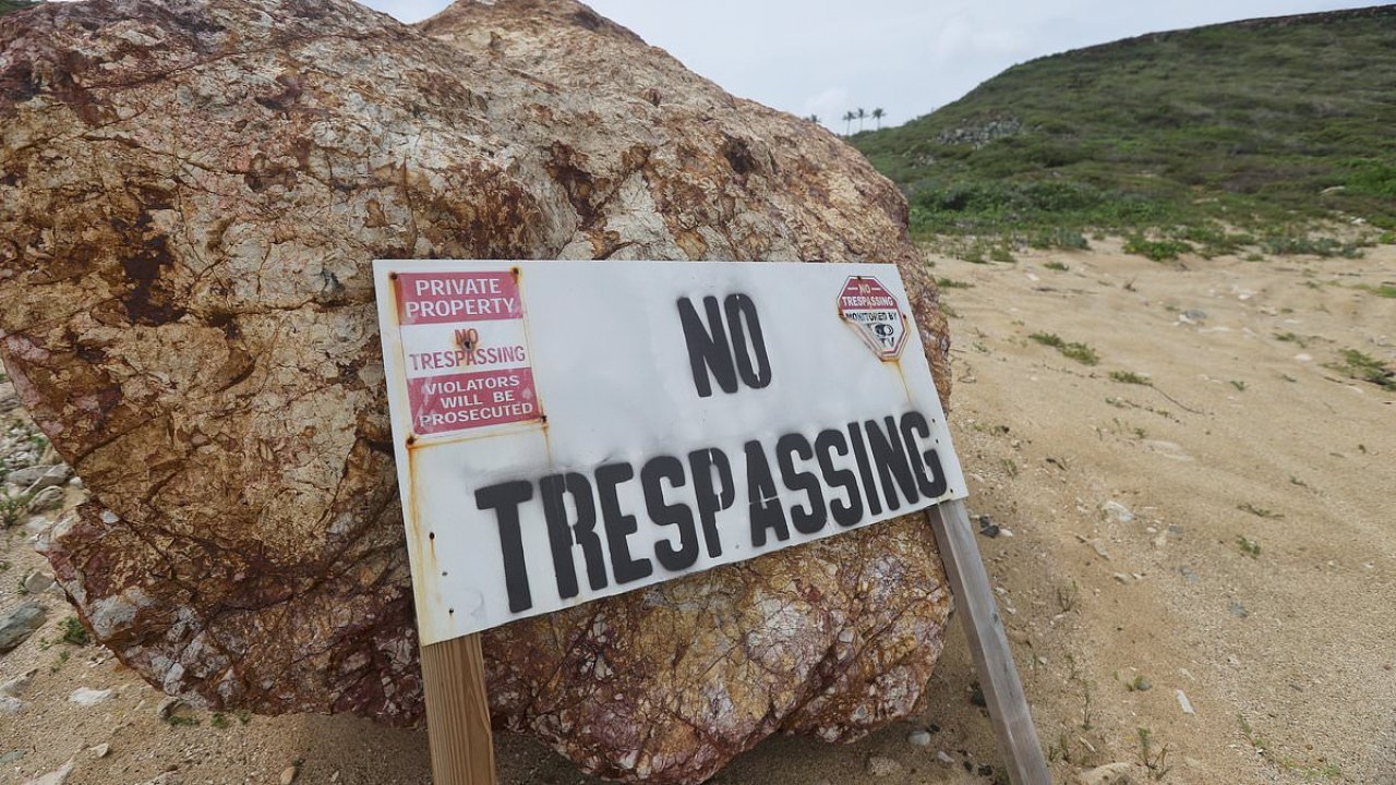 Ghoulish influencers flock to Jeffrey Epstein's notorious island
