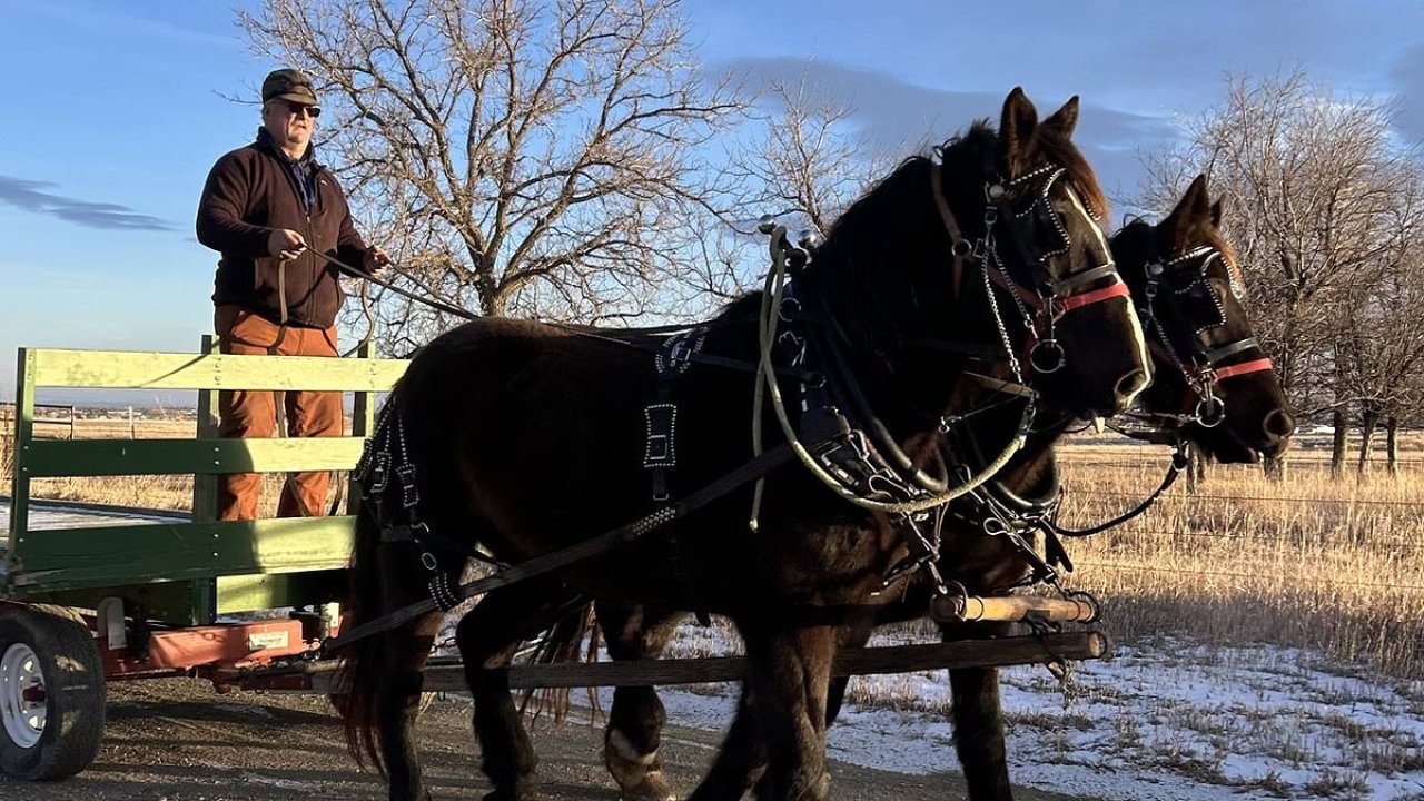 McDonald's says farmers in HORSE AND CART can now use its drive-thru