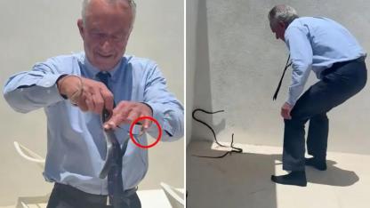 ABD Sağlık Bakanı, Dr. Öz'ün Terasında Yılan Avına Çıktı!