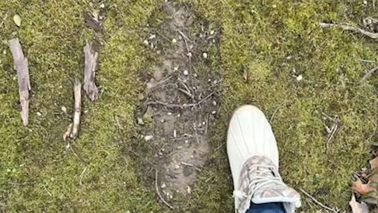 Bigfoot sightings rise in Ohio as Sasquatch-size 'tracks' discovered