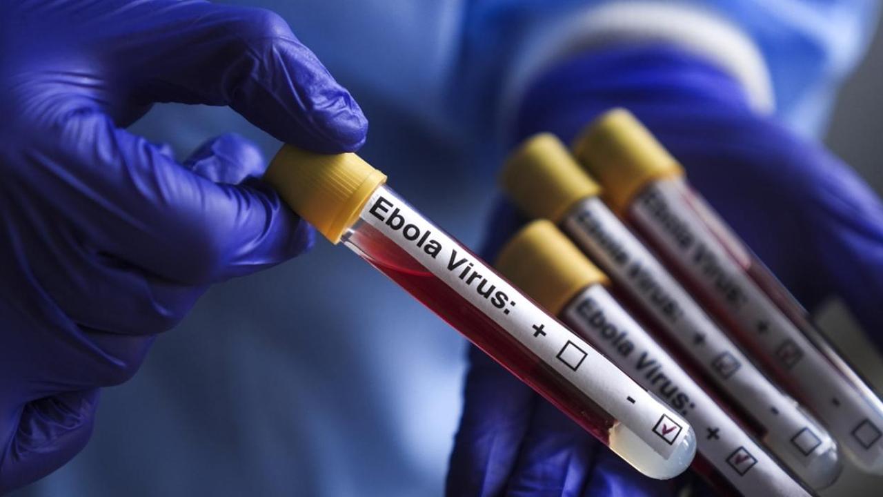 Fransa’da ebola alarmı! İlk vaka tespit edildi